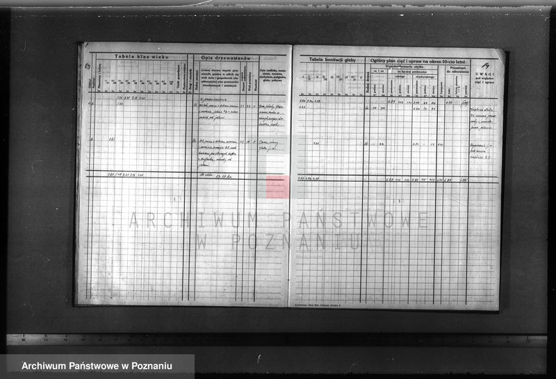 image.from.unit.number "Plan urządzenia gospodarstwa leśnego dla lasu majątku Lubosz powiatu międzychodzkiego 1936-1946"