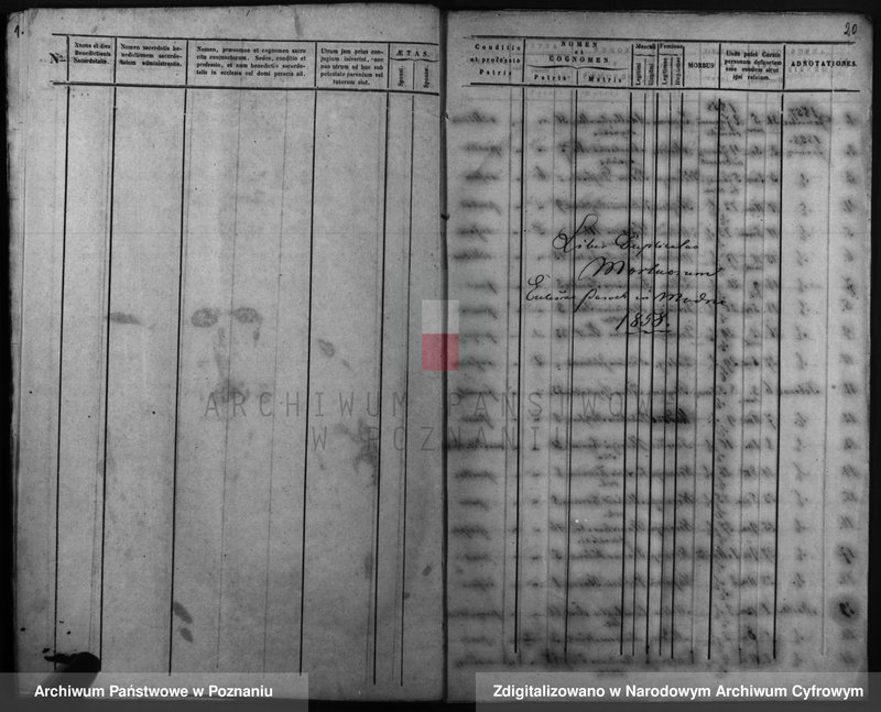 Obraz 14 z jednostki "Duplicatus baptisatorum, copulatorum, mortuorum"