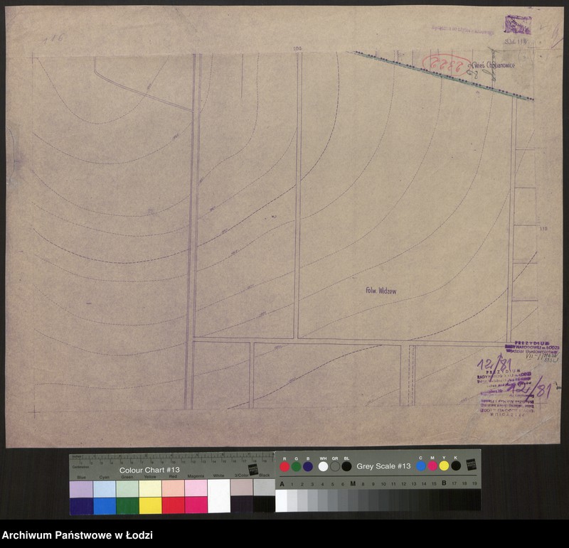 Obraz 1 z jednostki "Plan m. Łodzi 1:2000 z oznaczeniem podziału miasta na obwody i rejony spisowe. Sekcja SW116"