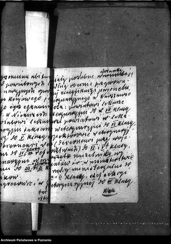 Obraz 15 z jednostki "Powiatowi lekarze weterynaryjni"