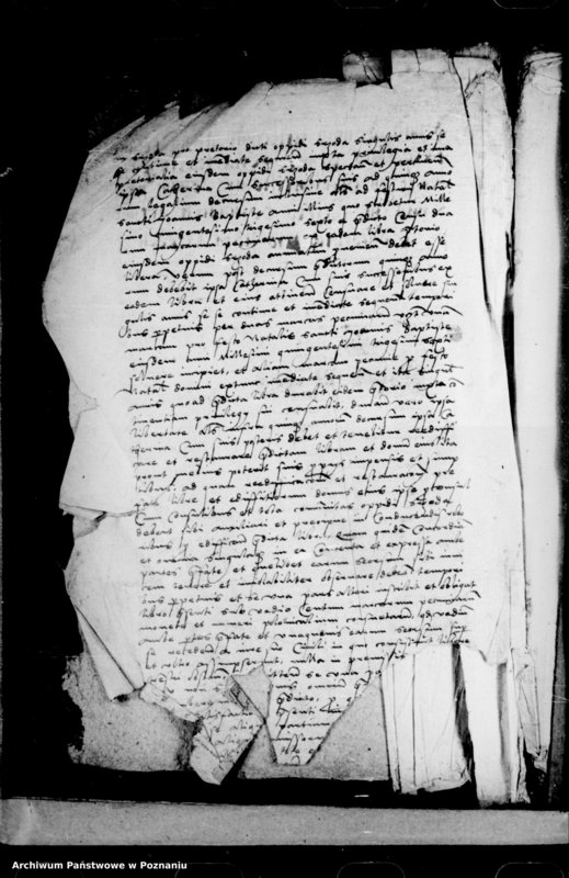 Obraz 4 z jednostki "Inscriptiones, relationes, decreta [inducta]"