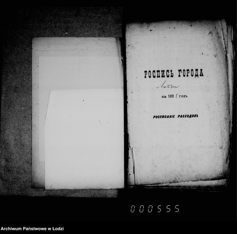 Obraz 15 z jednostki "O gorodskoj rospisi na 1895 g."