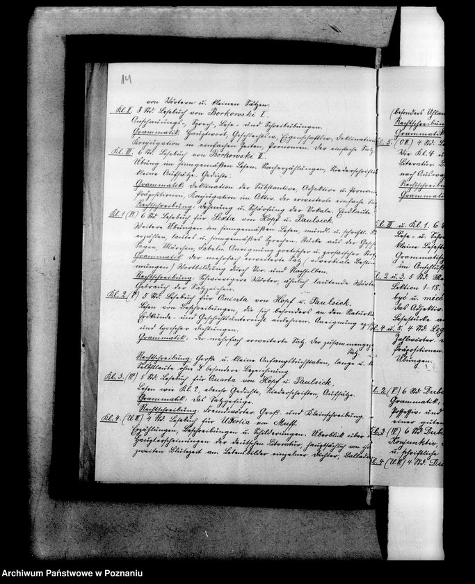 Obraz 17 z jednostki "Niemiecka Prywatna Szkoła Przygotowawcza Lissy Eltner- Zbąszyń"