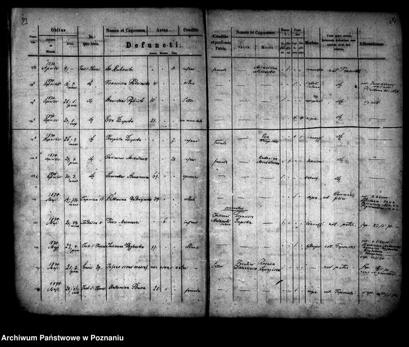 Obraz 13 z jednostki "Księga zgonów"