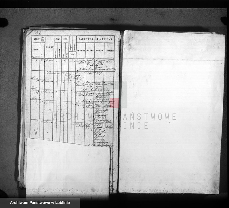 Obraz 9 z jednostki "Liber natorum, matriminium, sepultorum pro villa Wieprzowe Jezioro"