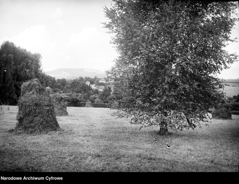 image.from.unit.number "Dworek Kępińskich w Moszczanicy"