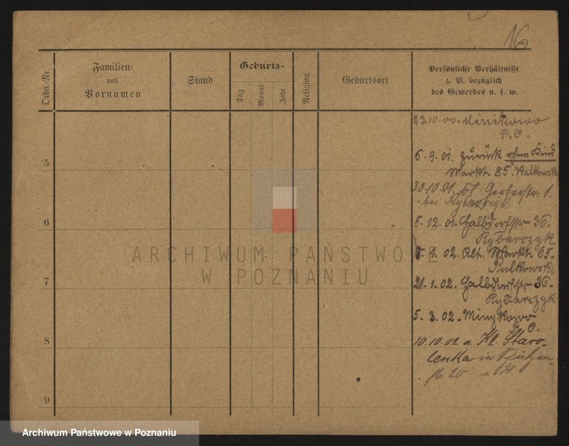 Obraz 16 z jednostki "Kinastowski - Kinowski"