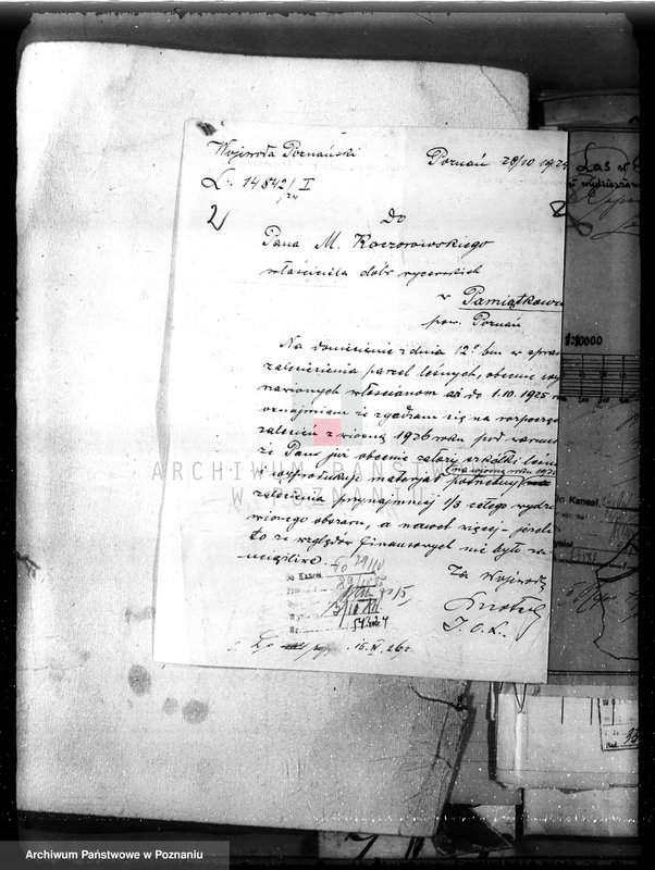 Obraz 8 z jednostki "Nadzór nad gospodarką w lasach majętności Pamiątkowo powiat obornicki"