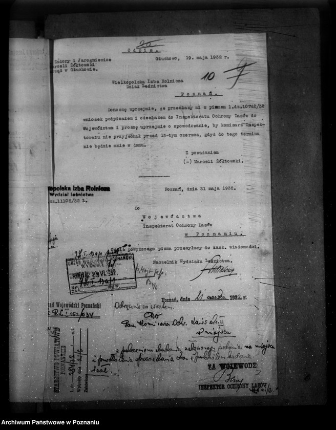 Obraz 14 z jednostki "Majętność leśna Zadory powiat kościański"