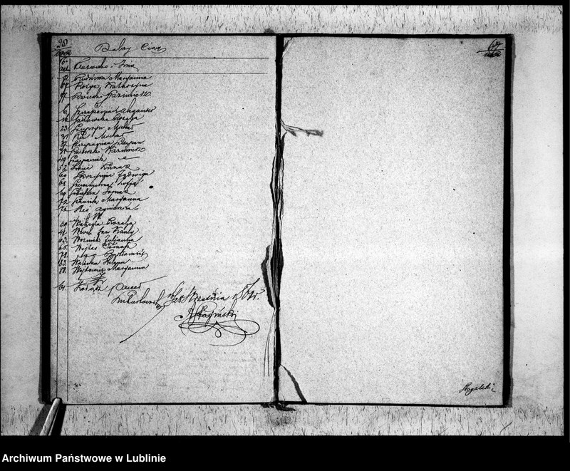 Obraz 17 z jednostki "Księga zgonów"