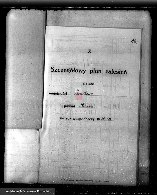 Obraz 16 z jednostki "Plan urządzania gospodarstwa leśnego dla lasu majętności Bonikowo - powiat kościański"