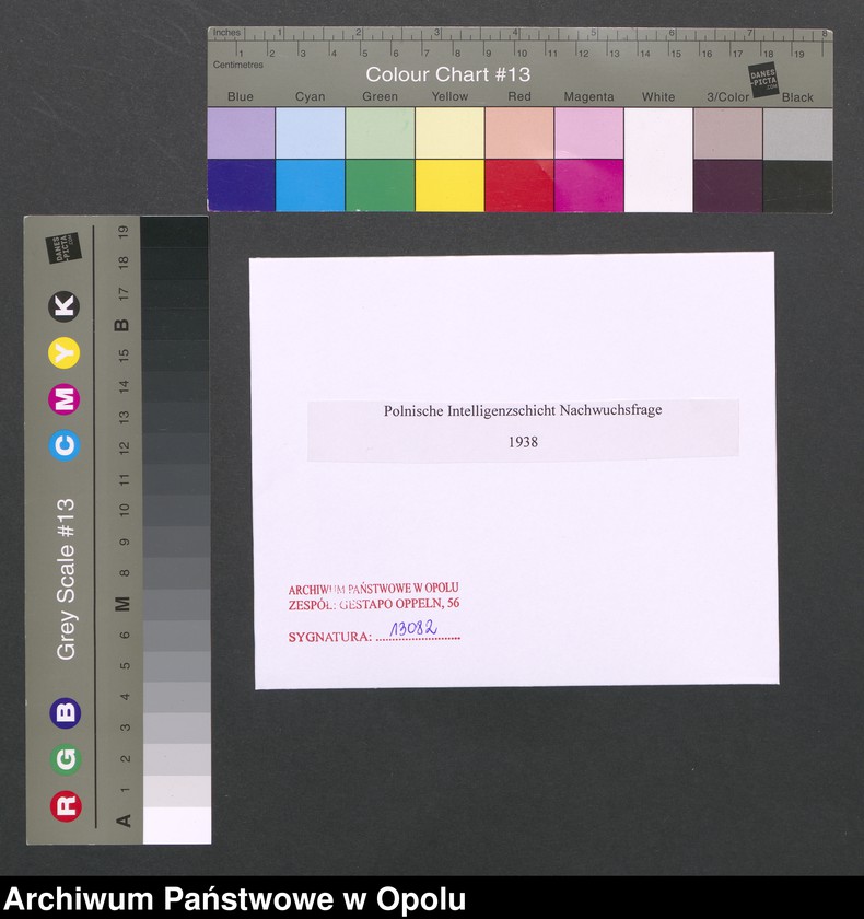 Obraz 2 z jednostki "Polnische Intelligenzschicht Nachwuchsfrage"