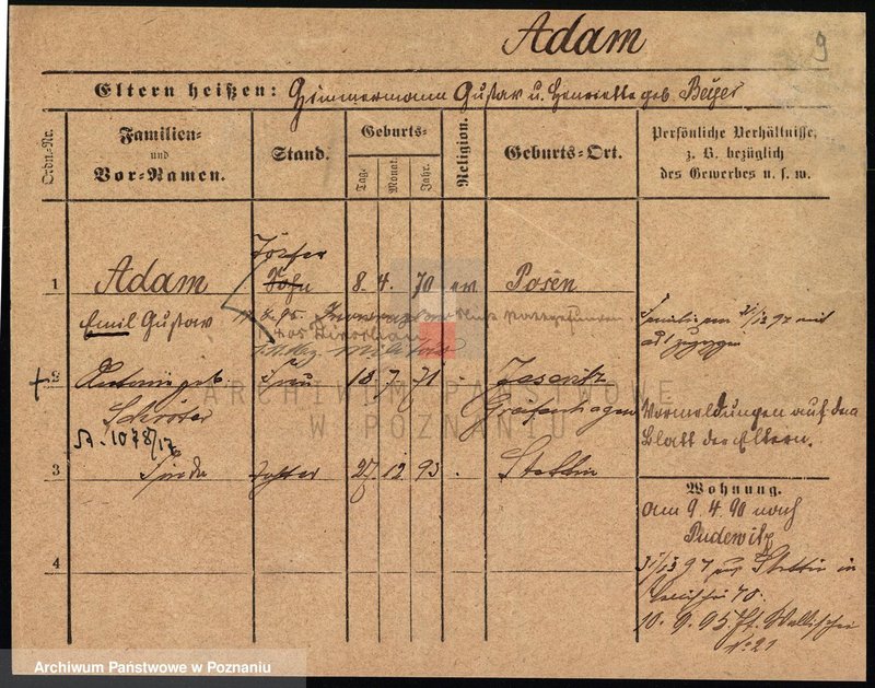 Obraz 12 z jednostki "Adam - Adamczak"