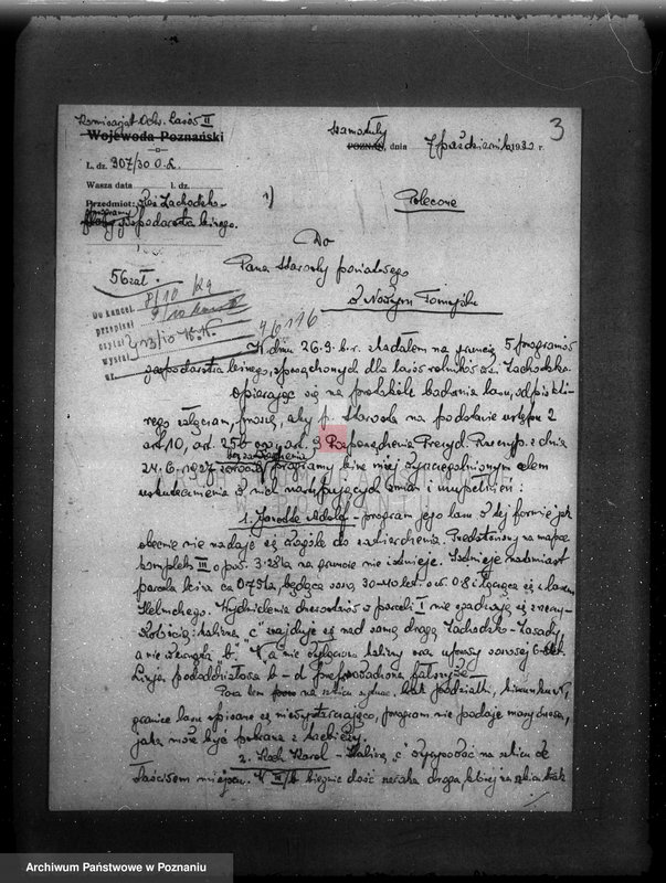 Obraz 7 z jednostki "/Nadzór nad gospodarką leśną/ protokoły badania lasów, programy gospodarcze powiat nowotomyski"