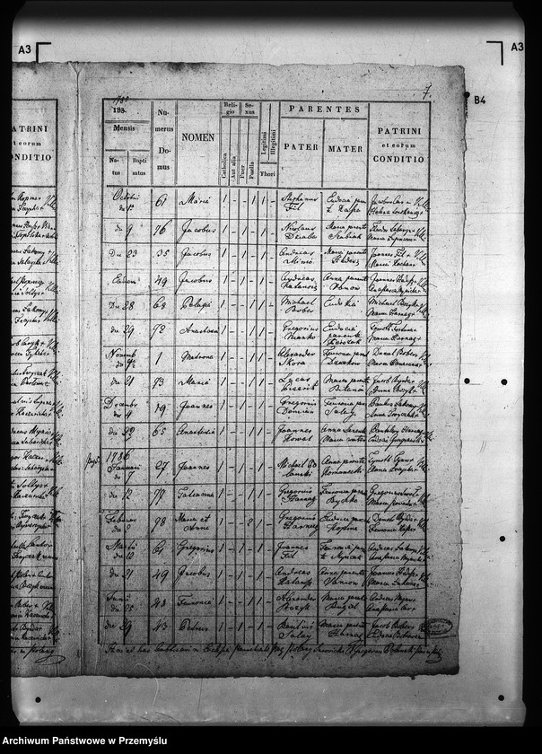 Obraz 11 z jednostki "[Kopie ksiąg metrykalnych parafii Polany Surowiczne z filią Wernejówka (dekanat Rymanów)]"