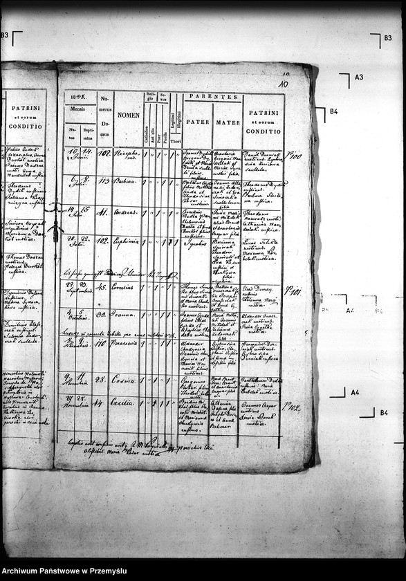 Obraz 14 z jednostki "[Kopie ksiąg metrykalnych parafii Hańczowa z filią Ropki (dekanat Gorlice)]"