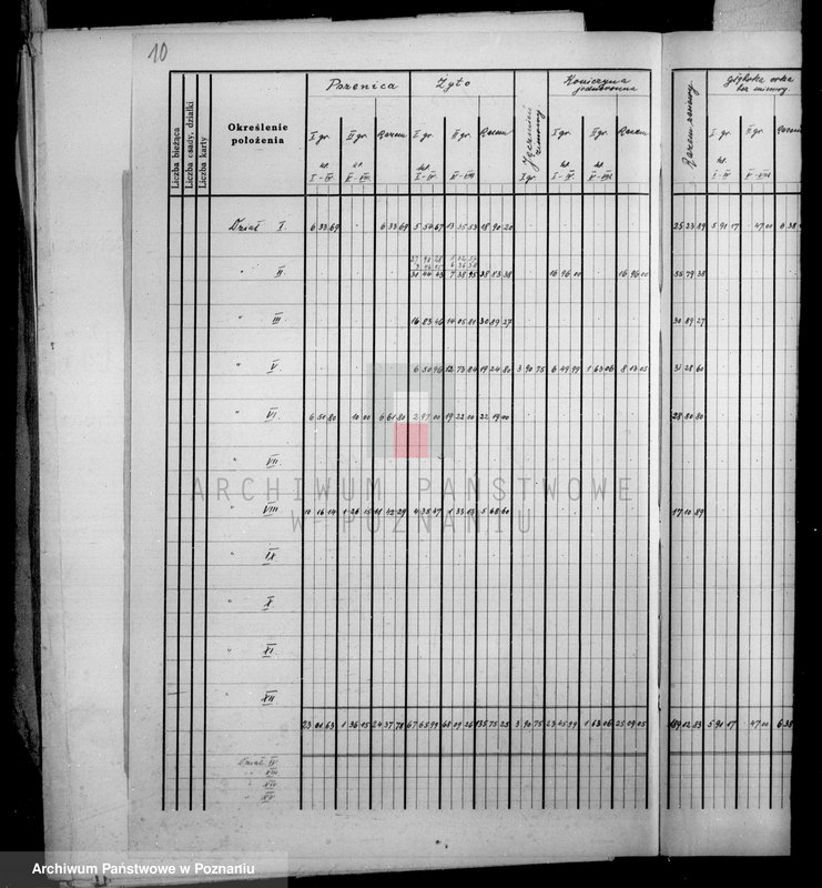 Obraz 15 z jednostki "Rejestr pomiarowy zasiewów części majątku Falmierowo powiatu wyrzyskiego"