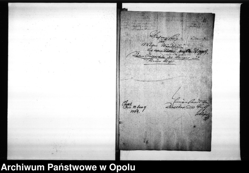 Obraz 19 z jednostki "Acta des Magistrats zu Oppeln von den hiesigen Cram-Woll-Vieh und Wochenmärckten"