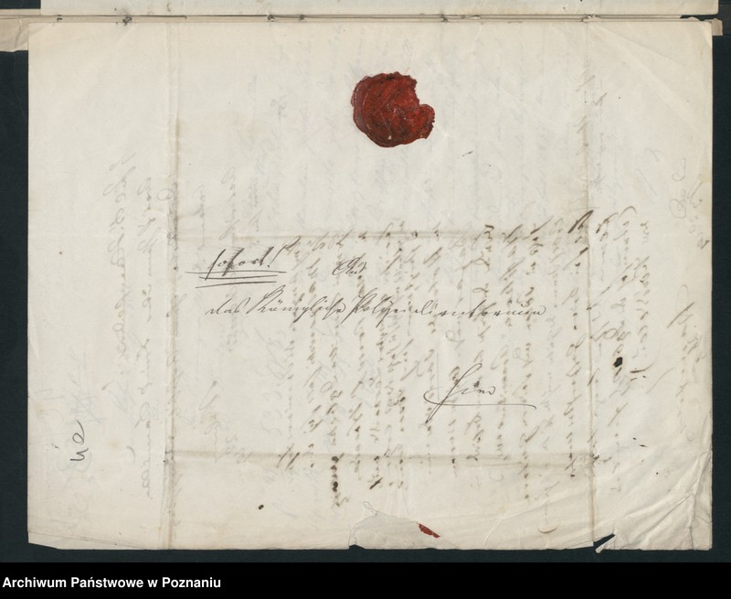 Obraz 8 z jednostki "A. betr. Fräulein Kamilla Dąbska"