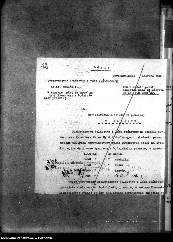 Obraz 17 z jednostki "Sprawy ogólno - administracyjne Mleczarstwo"