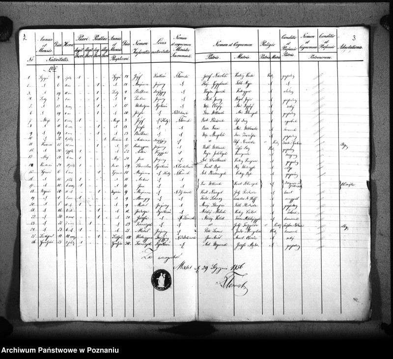 Obraz 4 z jednostki "Duplikat urodzonych"