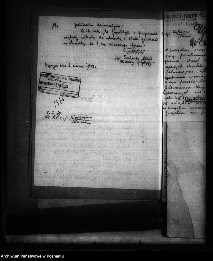 Obraz 17 z jednostki "Parcelacja majątku państwowego Kopojno powiatu konińskiego"