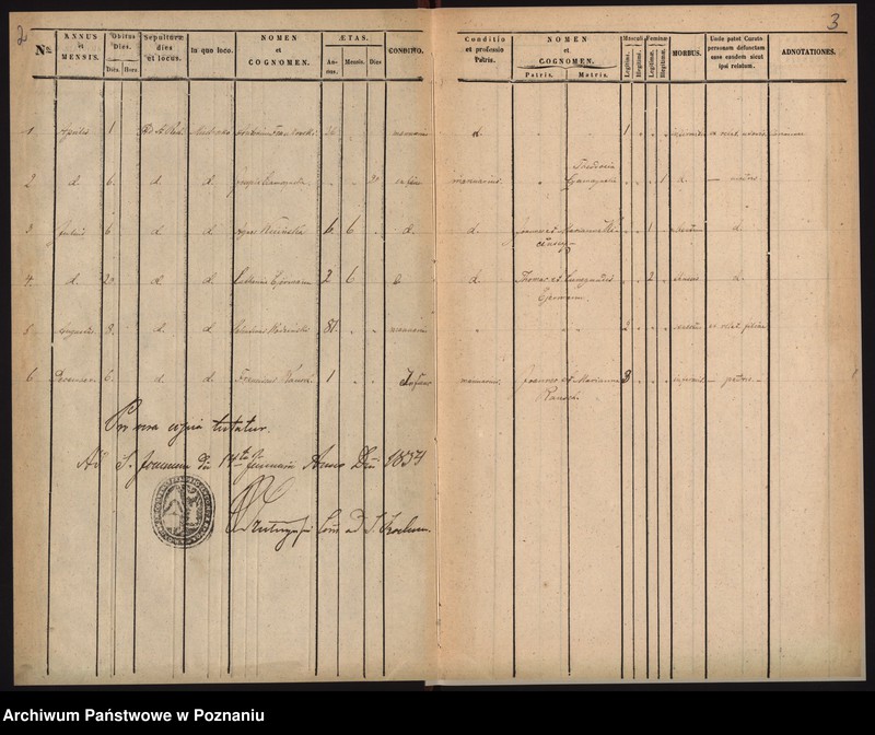 Obraz 5 z jednostki "Duplicat mortuorum"