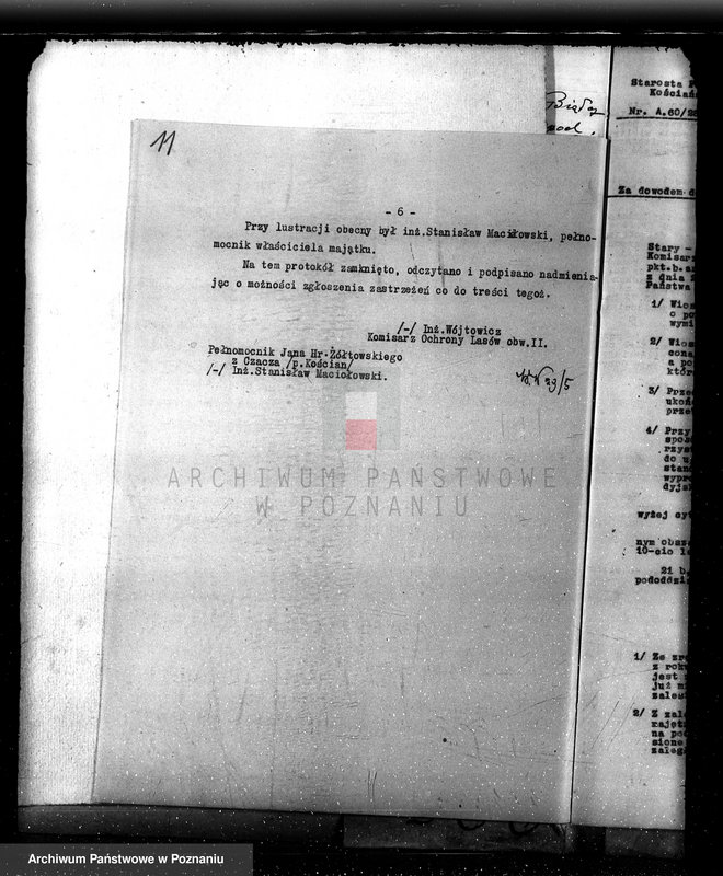 Obraz 15 z jednostki "Nadzór nad gospodarką w lasach majętności Czacz-Białcz powiat kościański"