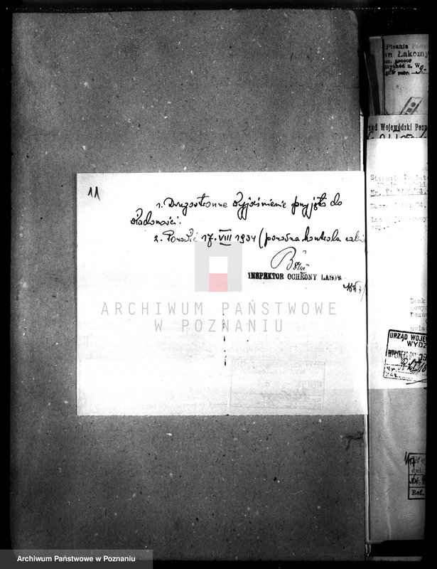 Obraz 15 z jednostki "Las majątku Borowy Młyn powiat międzychodzki"