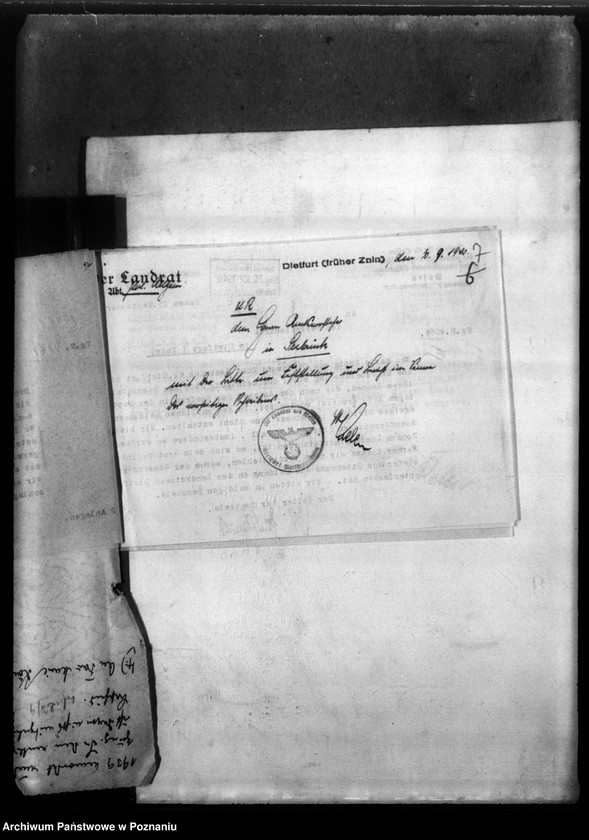 Obraz 11 z jednostki "Johann König ans Ottensund, Kreis Dietfurt (Żnin)"