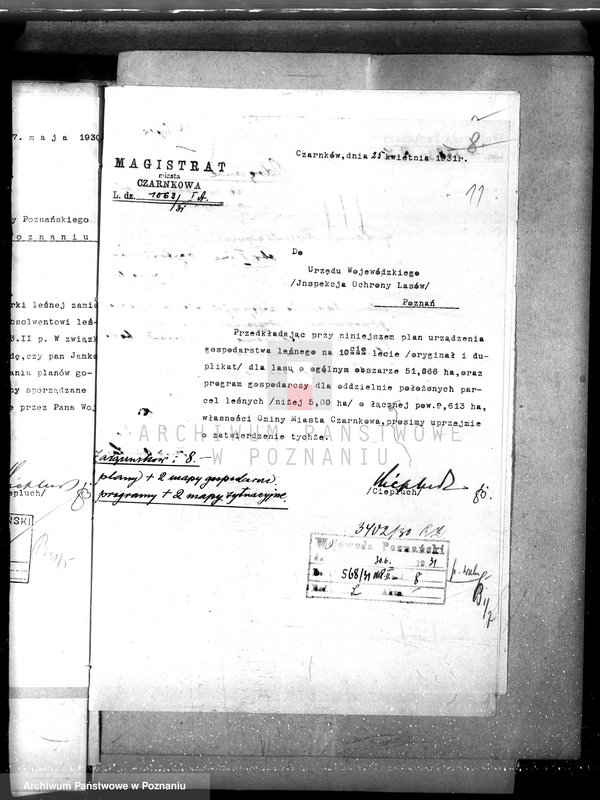 Obraz 15 z jednostki "Magistrat miasta Czarnkowa /nadzór nad gospodarką leśną/"