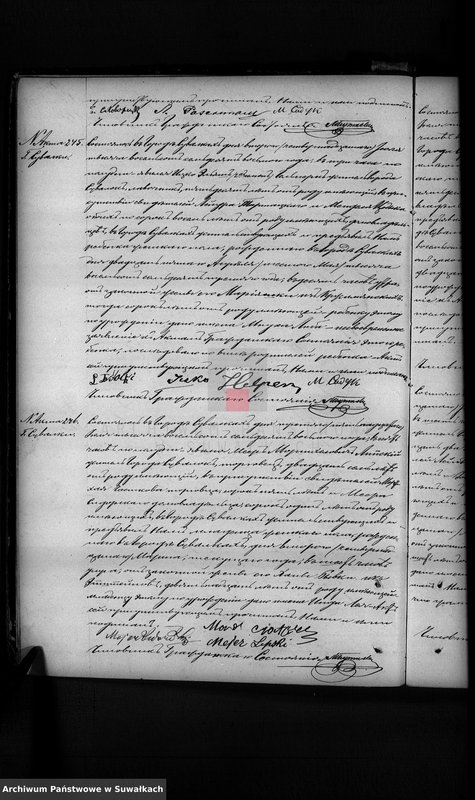 image.from.unit.number "Dobavočnaja Kniga dublikat aktov graždanskago sostojanija Suvalkskago Evrejskago Okruga na 1878 god Tom II"