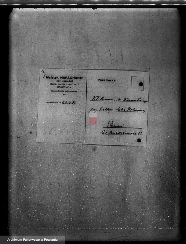 Obraz 7 z jednostki "Napachanie powiat poznański nadzór nad gospodarką leśną"