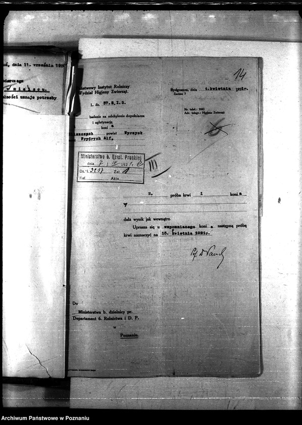 Obraz 18 z jednostki "Nosacizna - Wyrzysk"