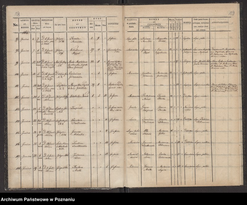 Obraz 12 z jednostki "Księga zgonów"