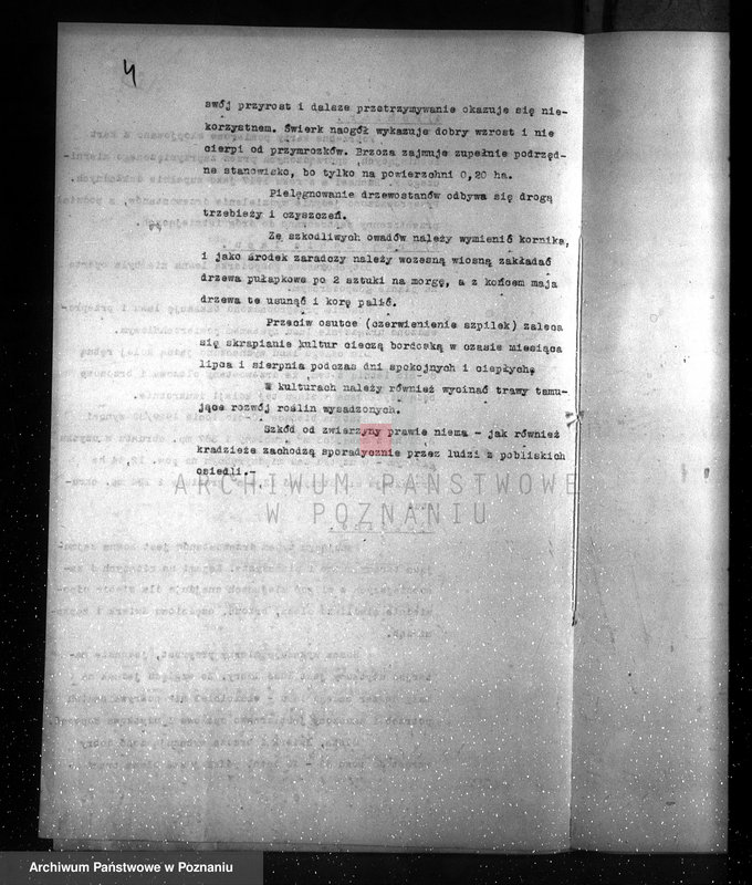 image.from.unit.number "Plan urządzenia gospodarstwa leśnego Baborówko-Baborowo powiat szamotulsko-obornicki 1929-1939"