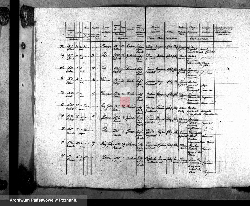Obraz 6 z jednostki "Liber baptisatorum"