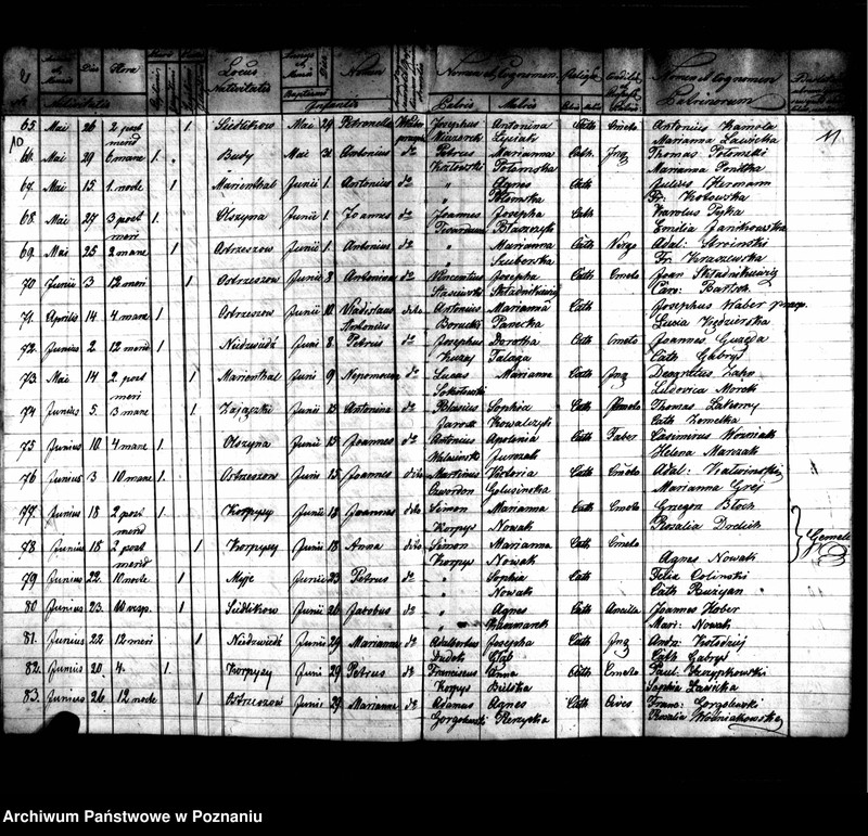 image.from.unit.number "Duplikaty zaślubionych, urodzonych, zmarłych"