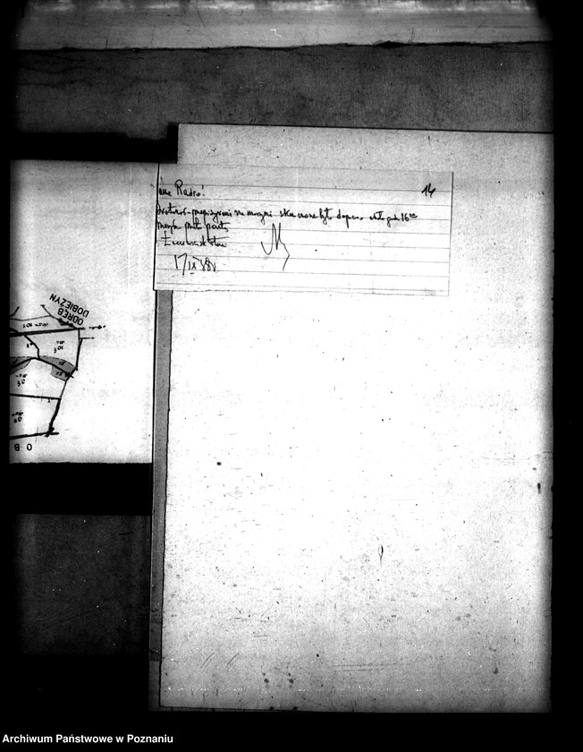 Obraz 18 z jednostki "/Scalenie gruntów wsi Oleśnica powiatu konińskiego/"