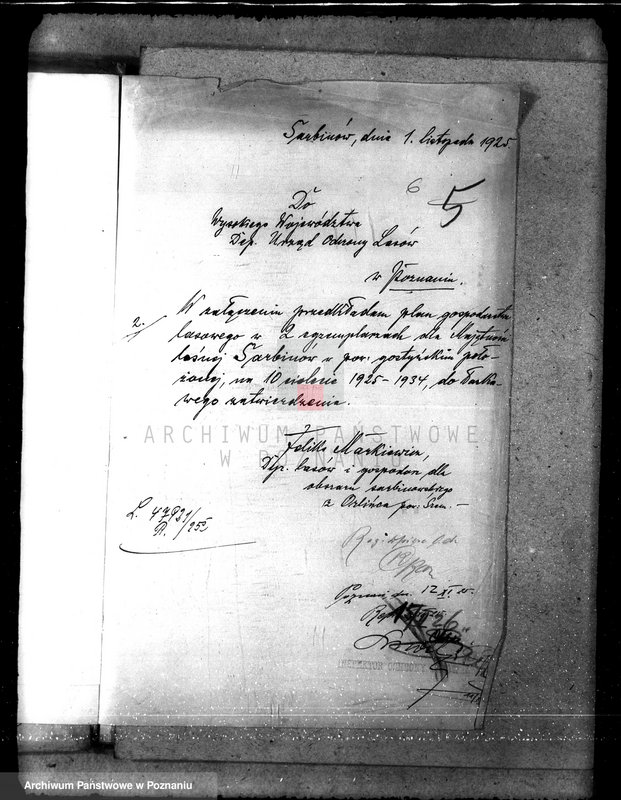 Obraz 9 z jednostki "Majętność leśna Sarbinowo w powiecie gostyńskim"