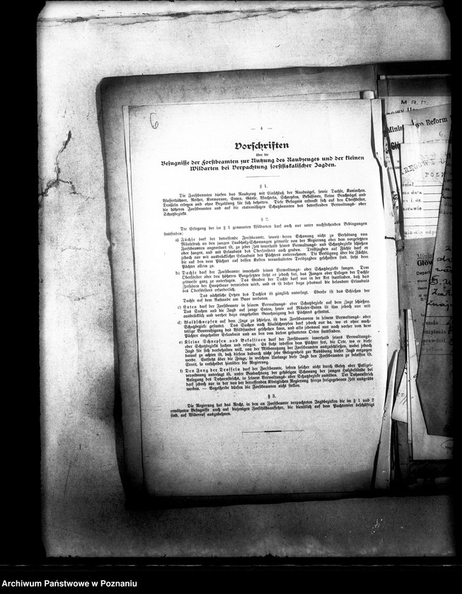 Obraz 10 z jednostki "Polowanie na jeziorze Bytyńskim Komorowo-Gorzewice"