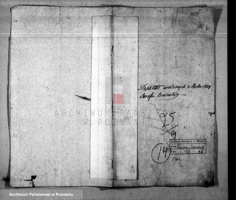 image.from.team "Akta stanu cywilnego Parafii Rzymskokatolickiej Czeszewo (pow. wągrowiecki)"