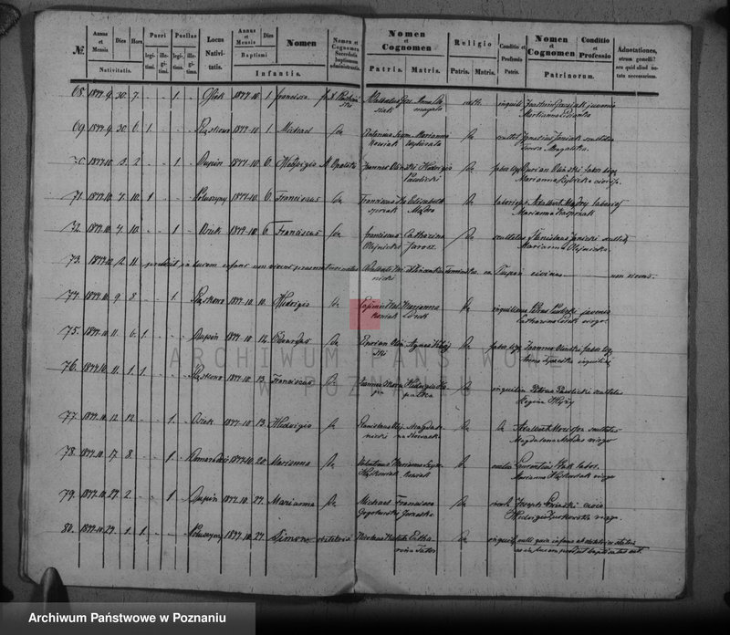 image.from.unit.number "Duplikat baptisatorum, copulatorum, mortuorum"