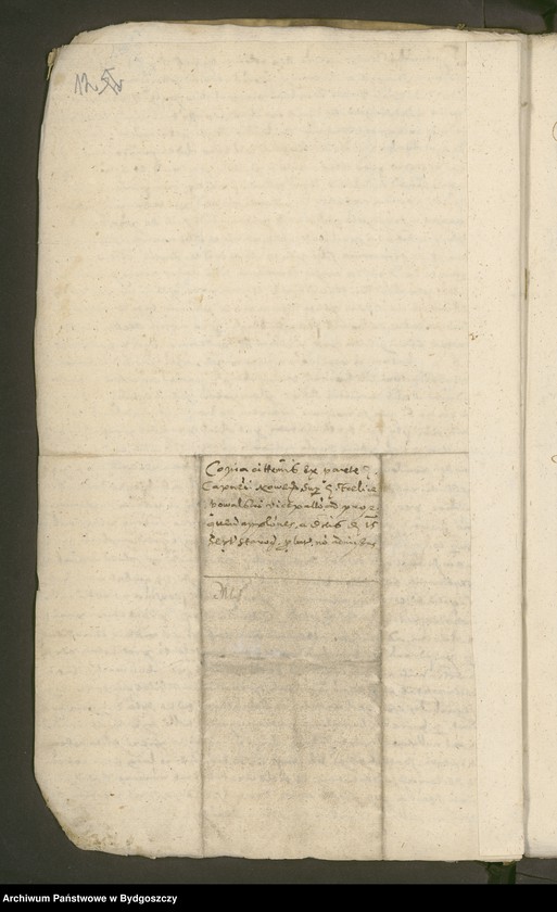 image.from.unit.number "[Księga ławnicza miasta Nowego]"