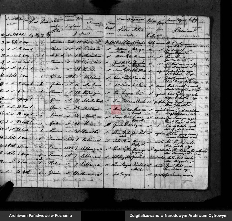 Obraz 7 z jednostki "Duplikat baptisatorum, copulatorum, mortuorum"