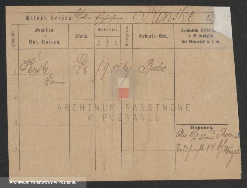 Obraz 12 z jednostki "Kinski - Kirstok"