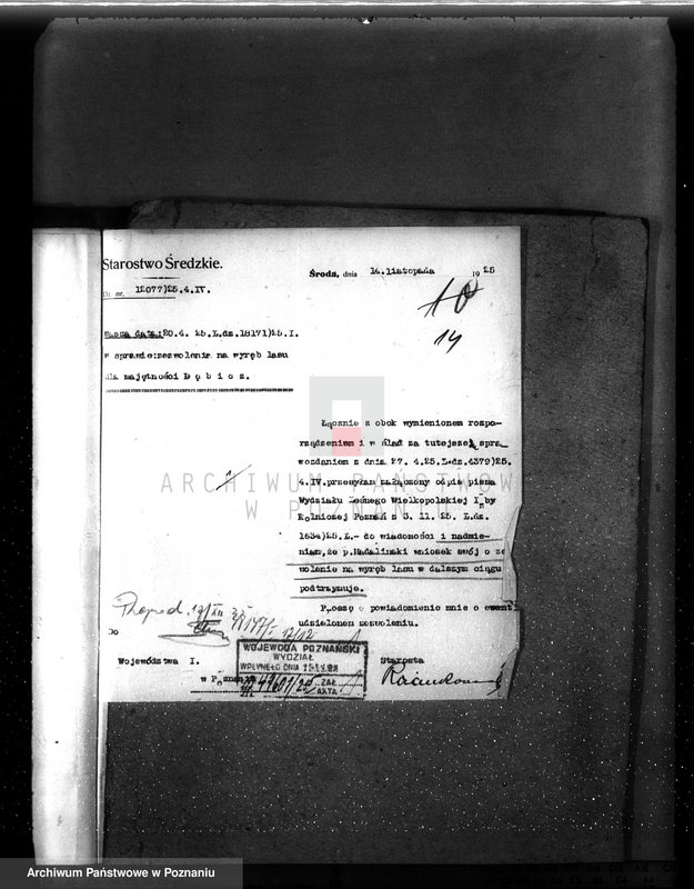 Obraz 18 z jednostki "Nadzór nad gospodarką w lasach majętności Dębicz powiat średzki"