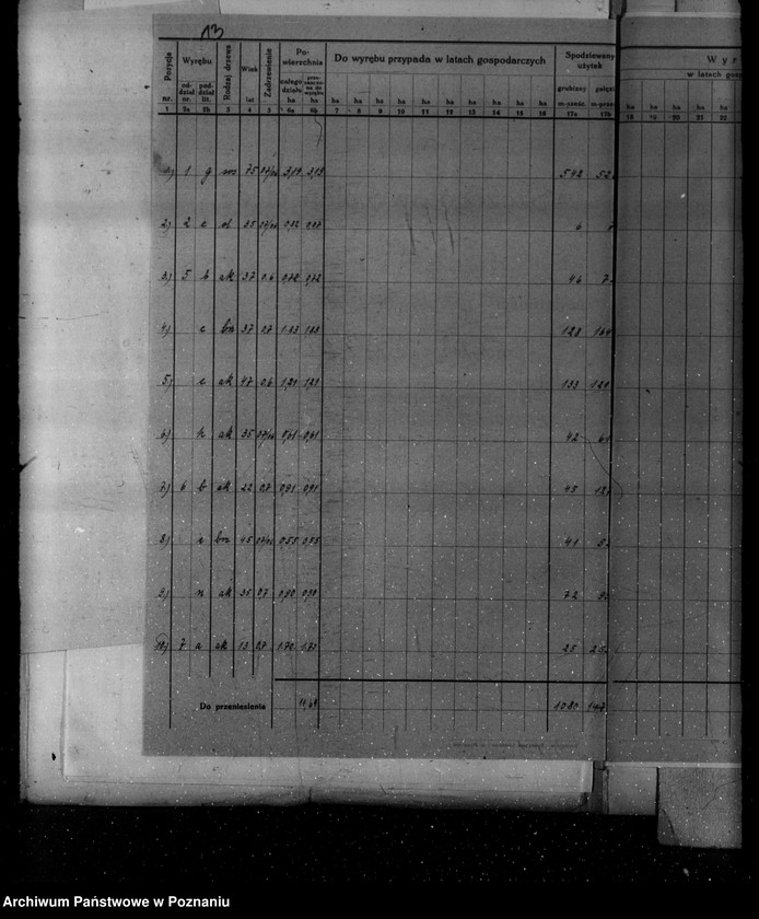 Obraz 16 z jednostki "Plan urządzania gospodarstwa leśnego dla lasu majętności Kopaczewo- Rogaczewo powiat kościański"