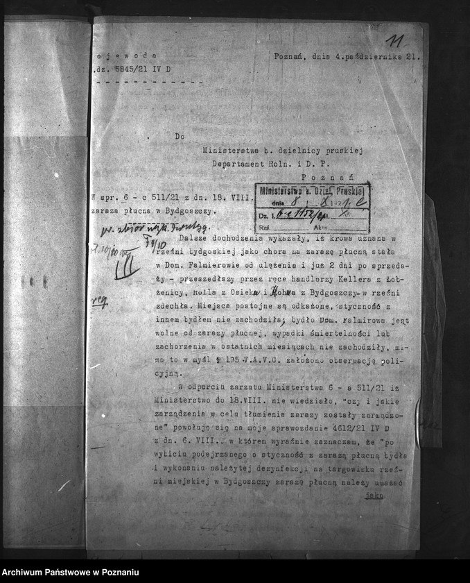 Obraz 15 z jednostki "Zaraza płucna - Bydgoszcz"