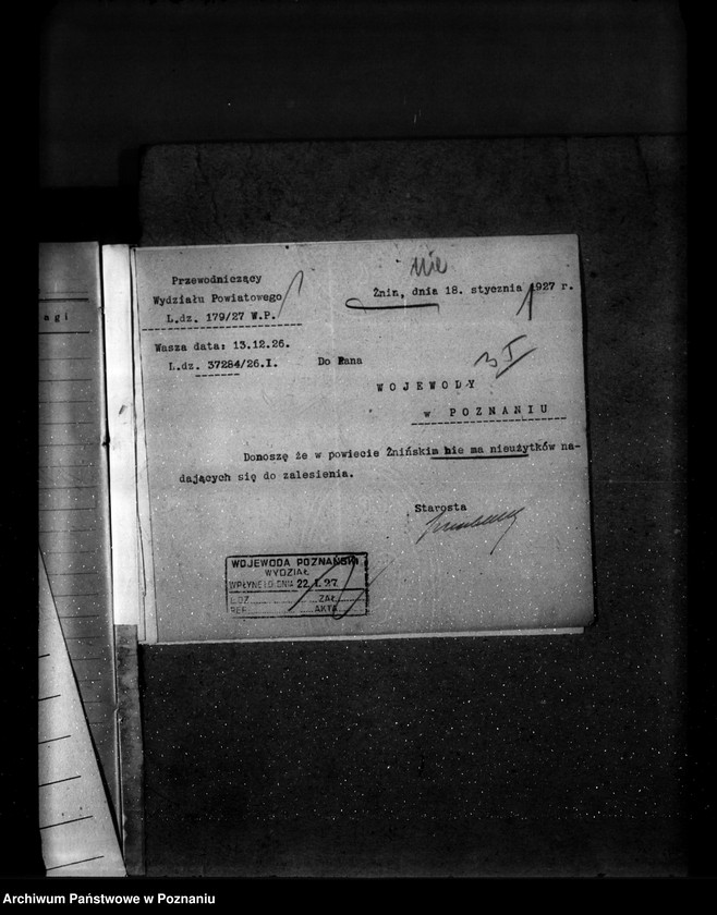 Obraz 5 z jednostki "Zalesienie nieużytków w powiecie żnińskim"